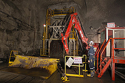 Production Capacity Exceeded In The First Year